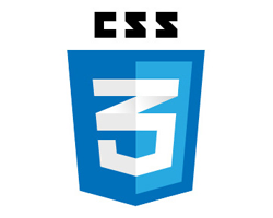 css3