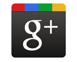 g+