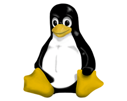linux