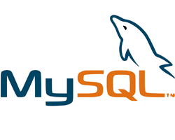 mysql1